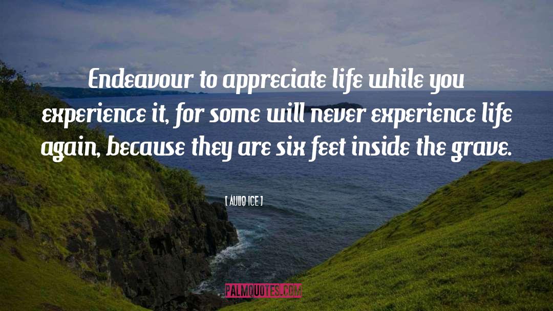 Appreciate Life quotes by Auliq Ice