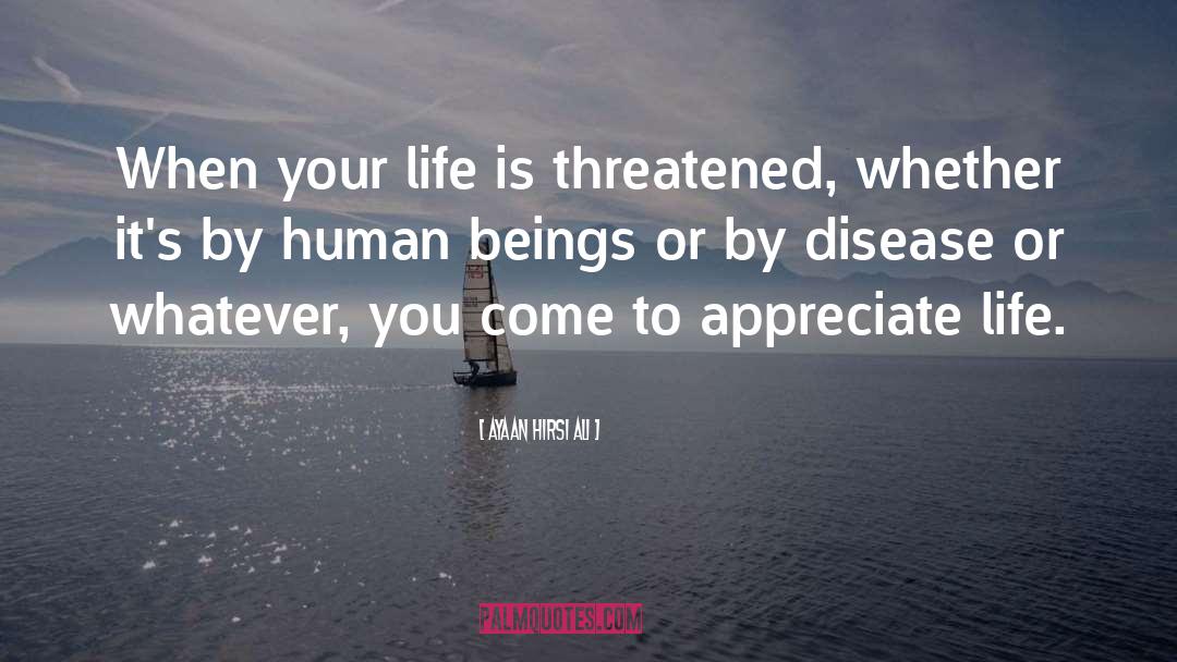 Appreciate Life quotes by Ayaan Hirsi Ali