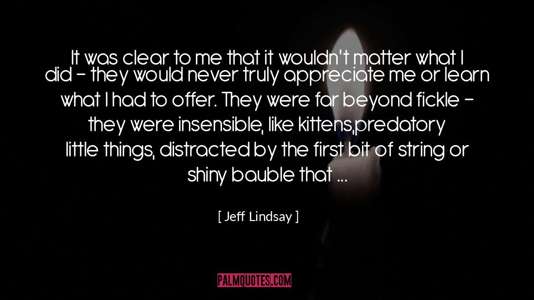 Appreciate Me quotes by Jeff Lindsay