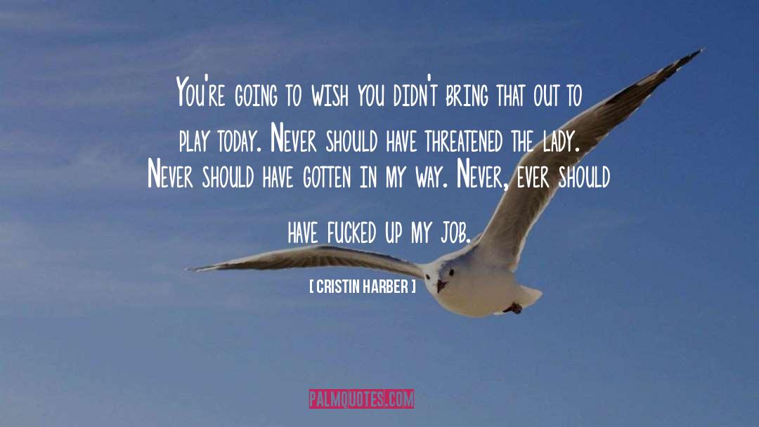 Appreciate Today quotes by Cristin Harber