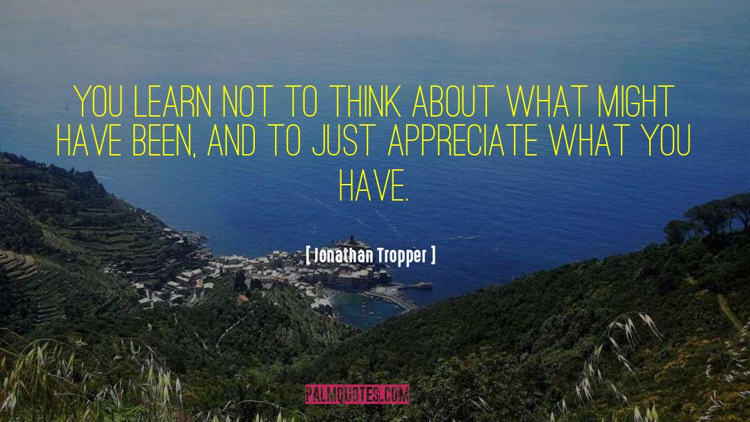 Appreciate What You Have quotes by Jonathan Tropper