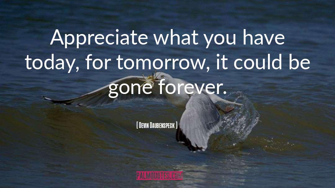 Appreciate What You Have quotes by Devin Daubenspeck