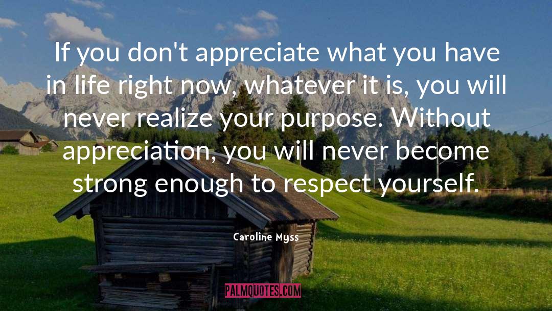 Appreciate What You Have quotes by Caroline Myss
