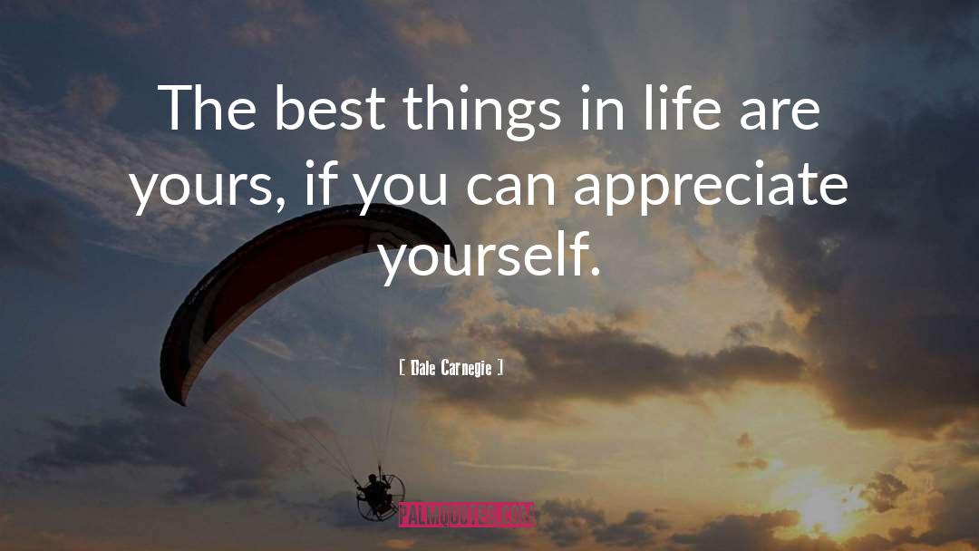 Appreciate Yourself quotes by Dale Carnegie