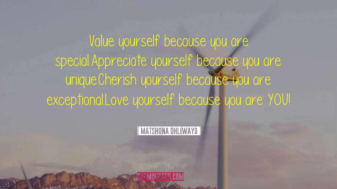 Appreciate Yourself quotes by Matshona Dhliwayo