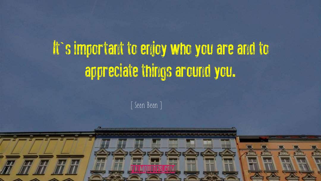 Appreciate Yourself quotes by Sean Bean