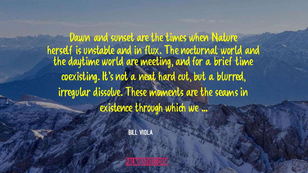 Appreciating Nature quotes by Bill Viola