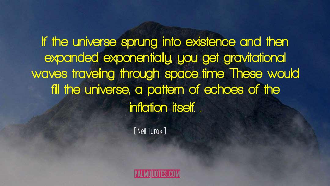 Appreciating The Universe quotes by Neil Turok