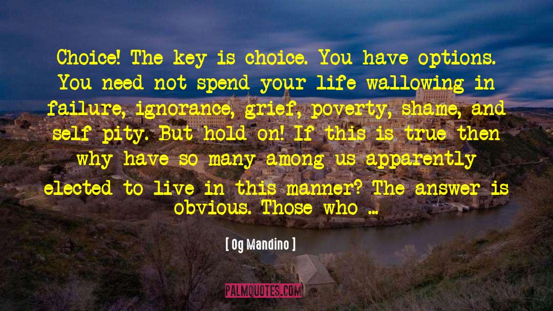 Appreciating Your Life quotes by Og Mandino