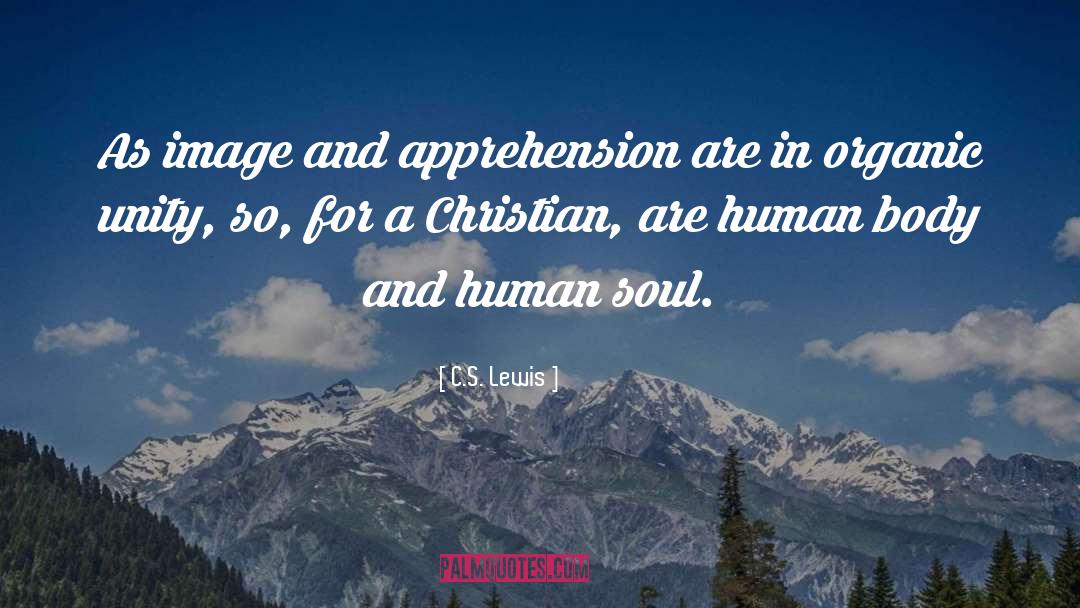 Apprehension quotes by C.S. Lewis