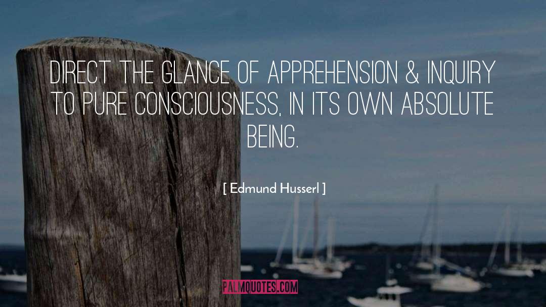 Apprehension quotes by Edmund Husserl