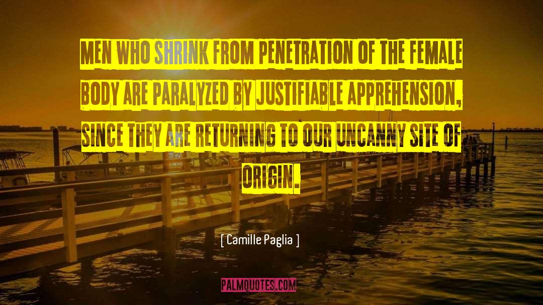 Apprehension quotes by Camille Paglia