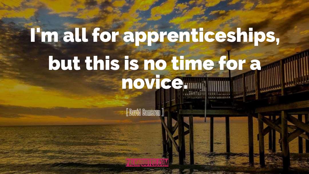 Apprenticeship quotes by David Cameron