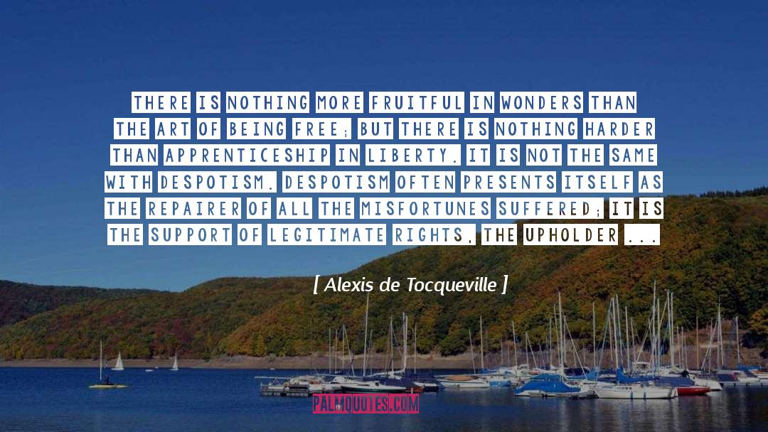Apprenticeship quotes by Alexis De Tocqueville
