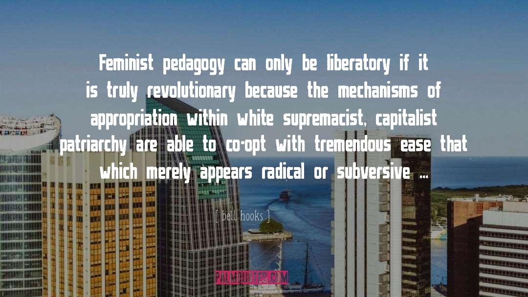 Appropriation quotes by Bell Hooks