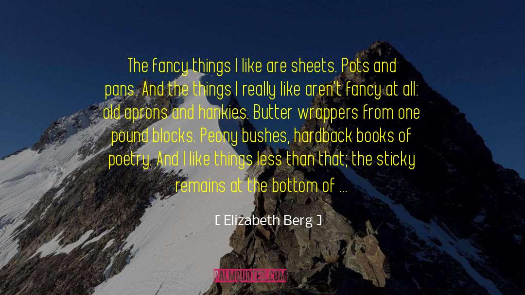 Aprons quotes by Elizabeth Berg