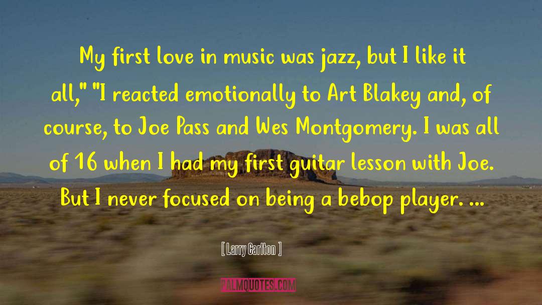 Apt Phrasing quotes by Larry Carlton