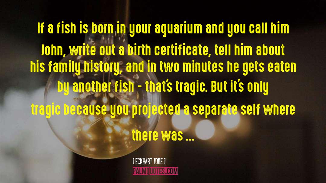 Aquarium quotes by Eckhart Tolle