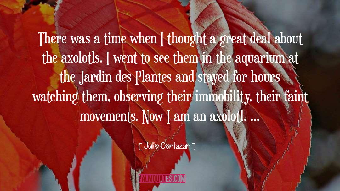 Aquarium quotes by Julio Cortazar