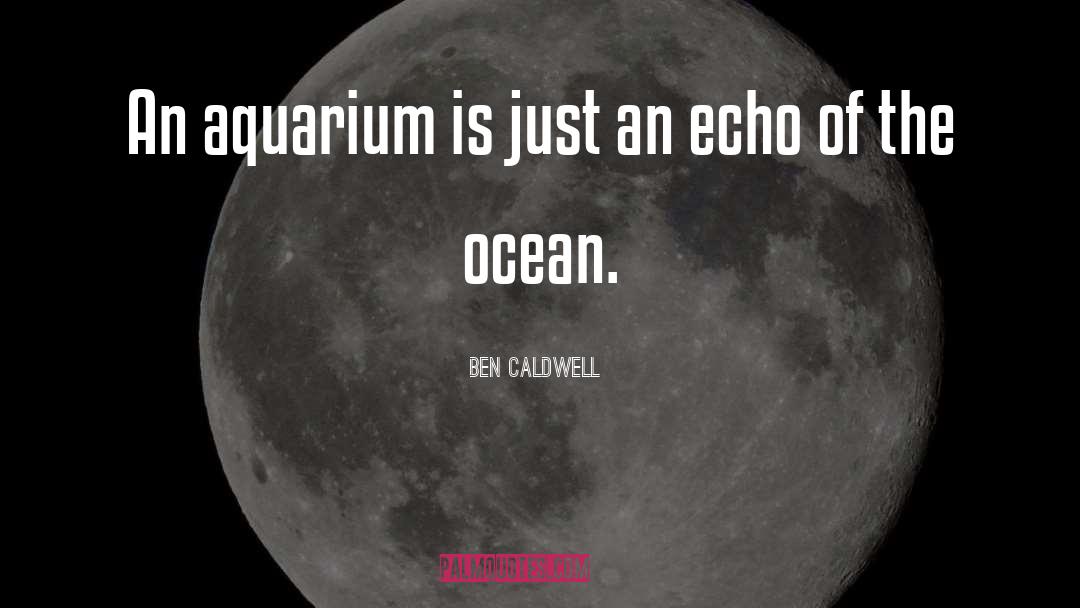 Aquarium quotes by Ben Caldwell