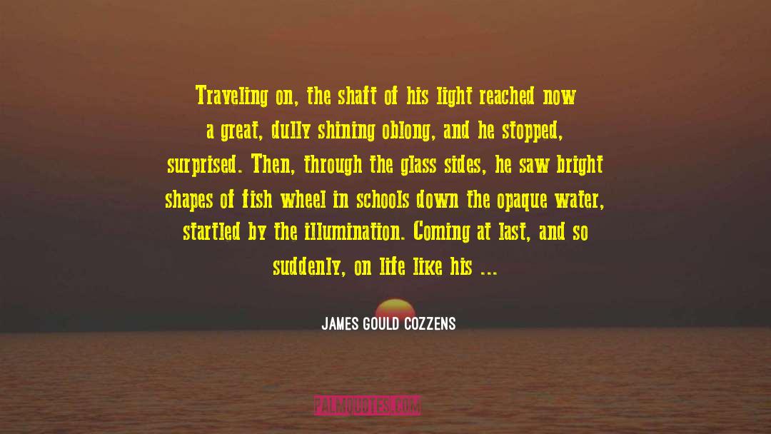 Aquarium quotes by James Gould Cozzens