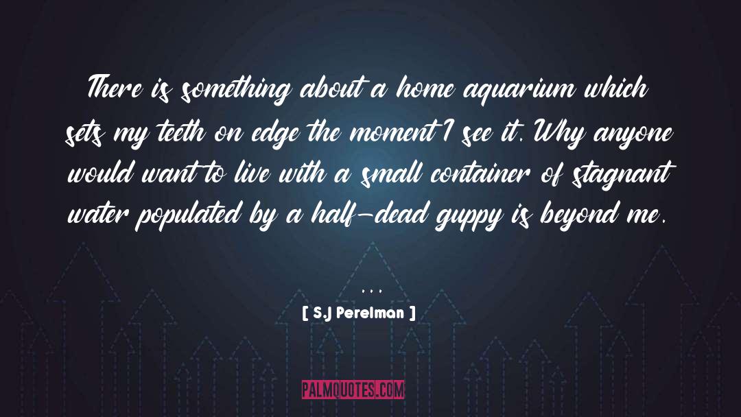 Aquarium quotes by S.J Perelman