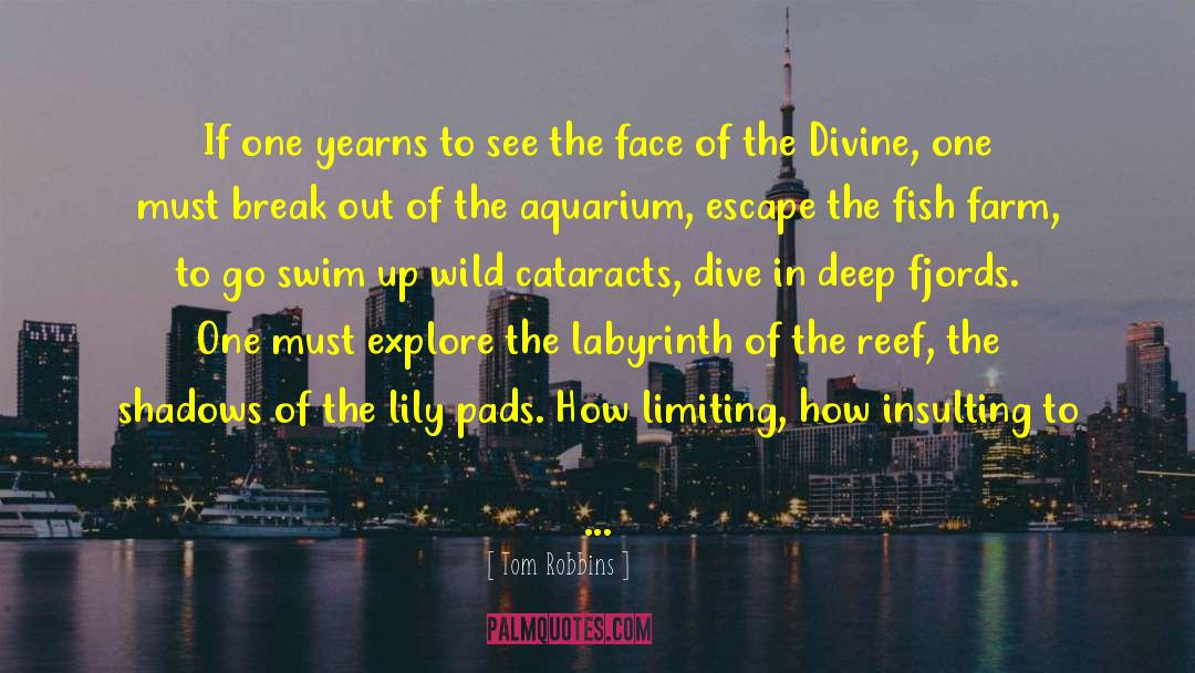 Aquarium quotes by Tom Robbins