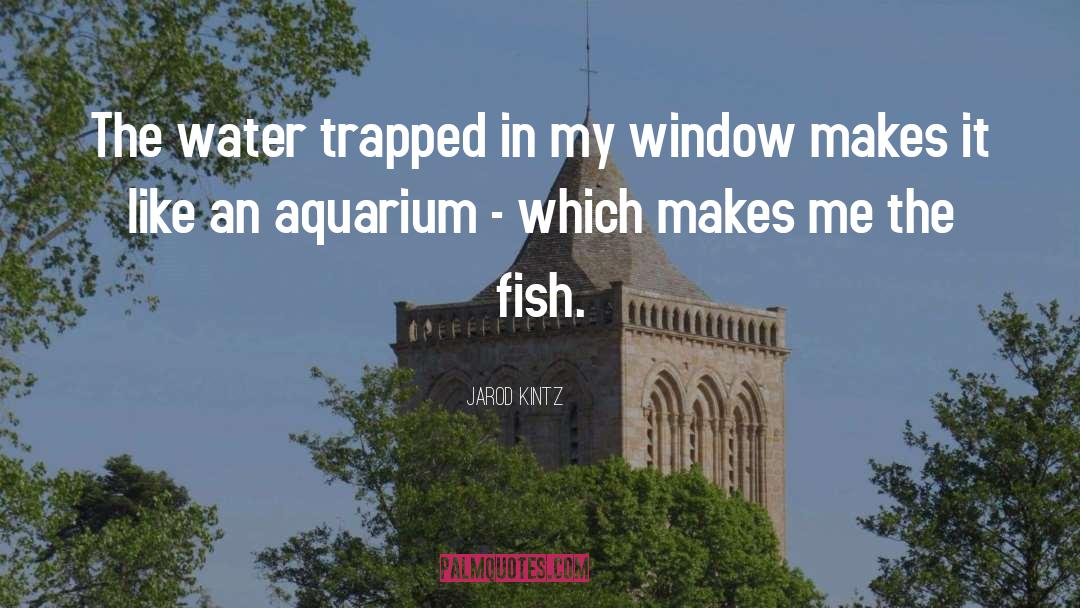 Aquarium quotes by Jarod Kintz