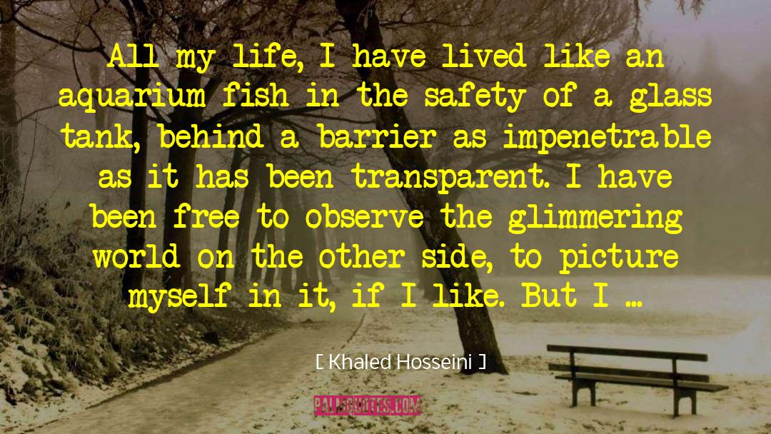 Aquarium quotes by Khaled Hosseini