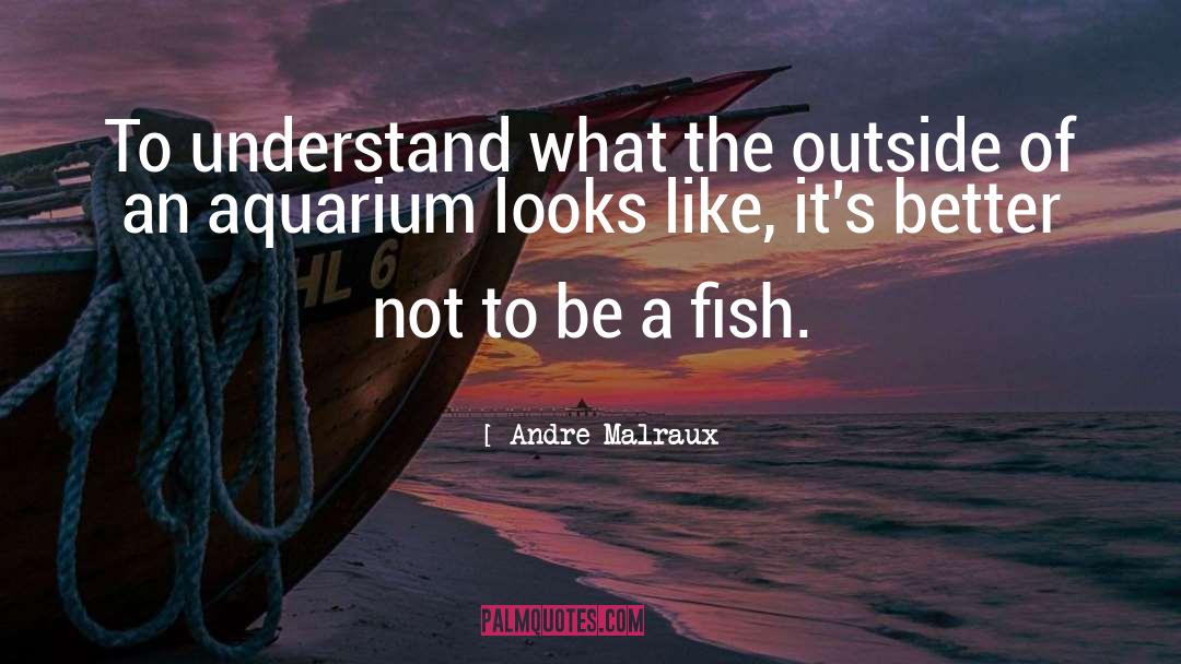 Aquarium quotes by Andre Malraux