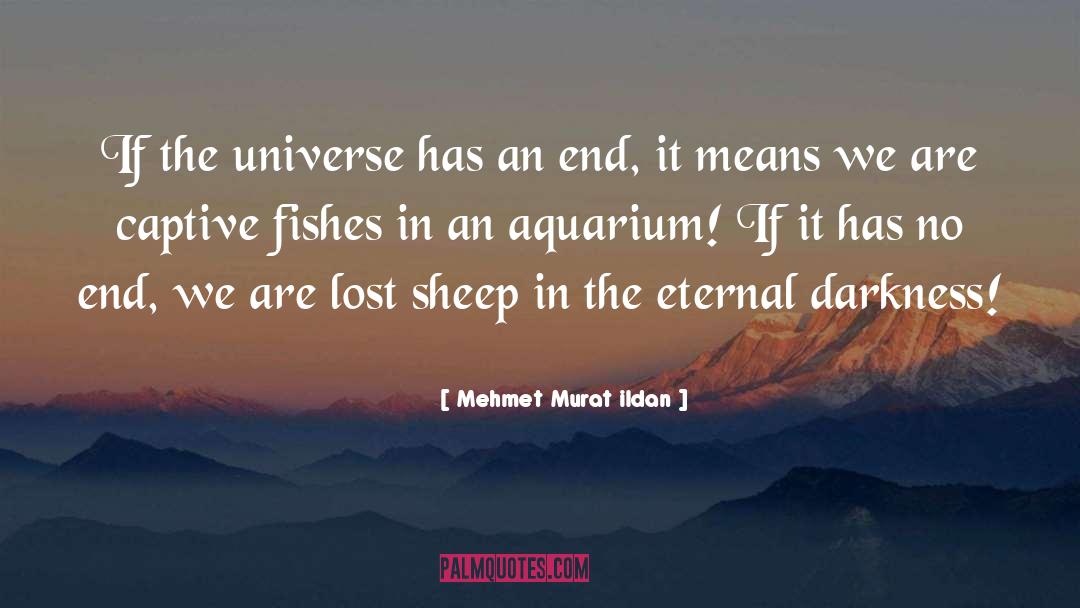Aquarium quotes by Mehmet Murat Ildan