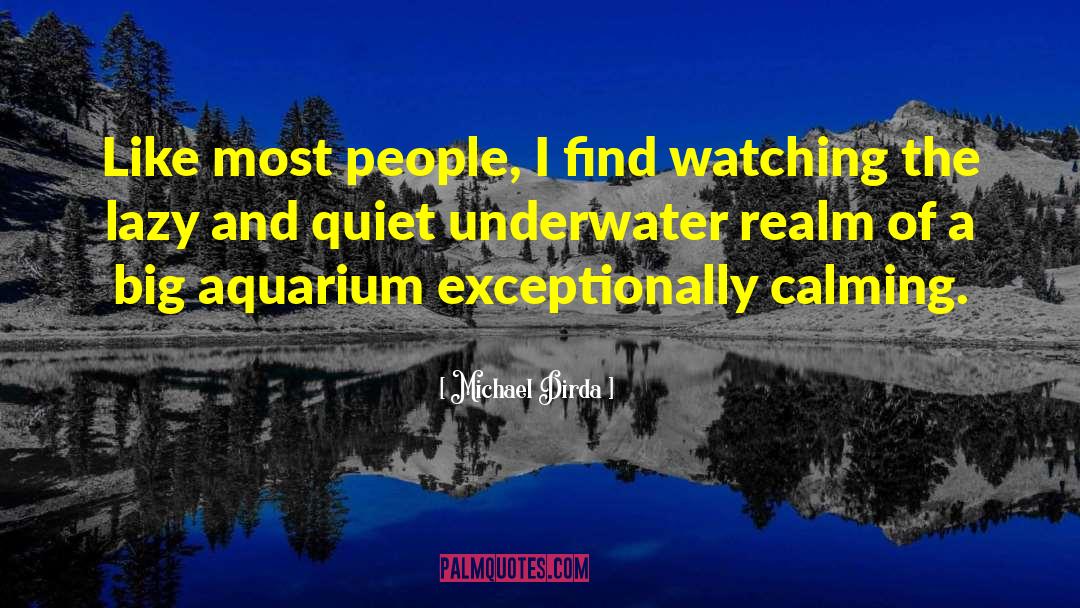 Aquarium quotes by Michael Dirda