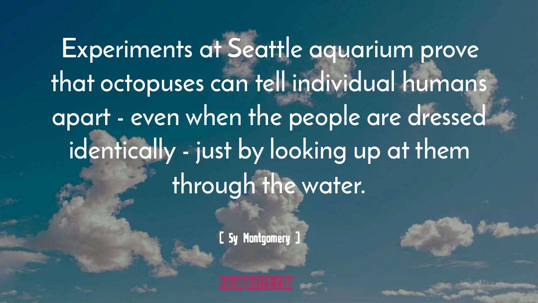 Aquarium quotes by Sy Montgomery