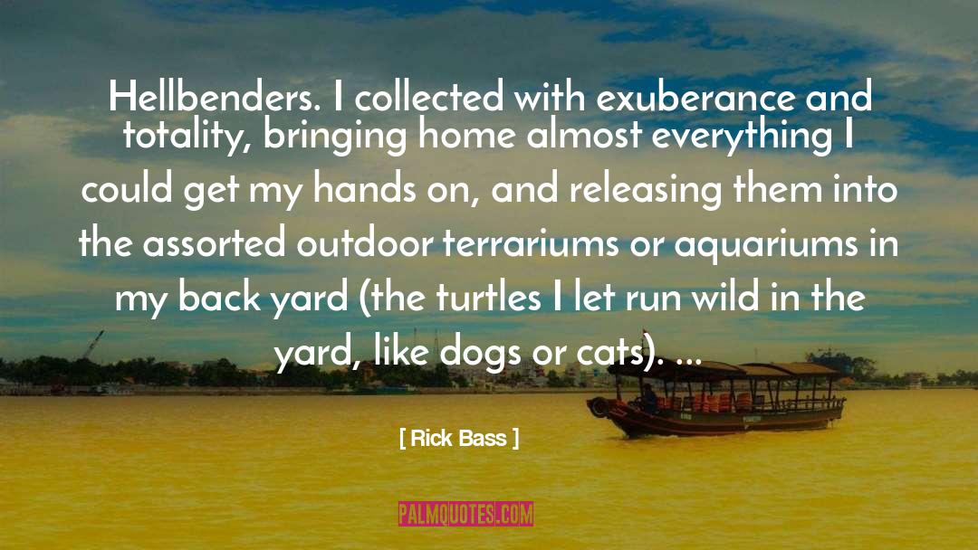 Aquariums quotes by Rick Bass