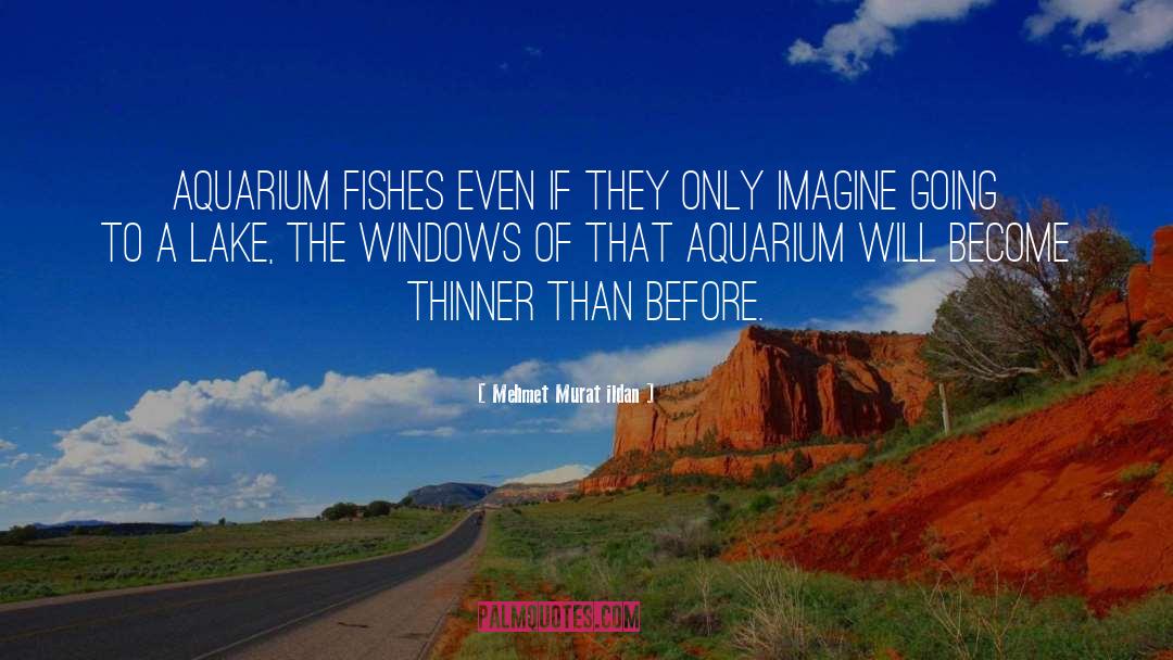 Aquariums quotes by Mehmet Murat Ildan