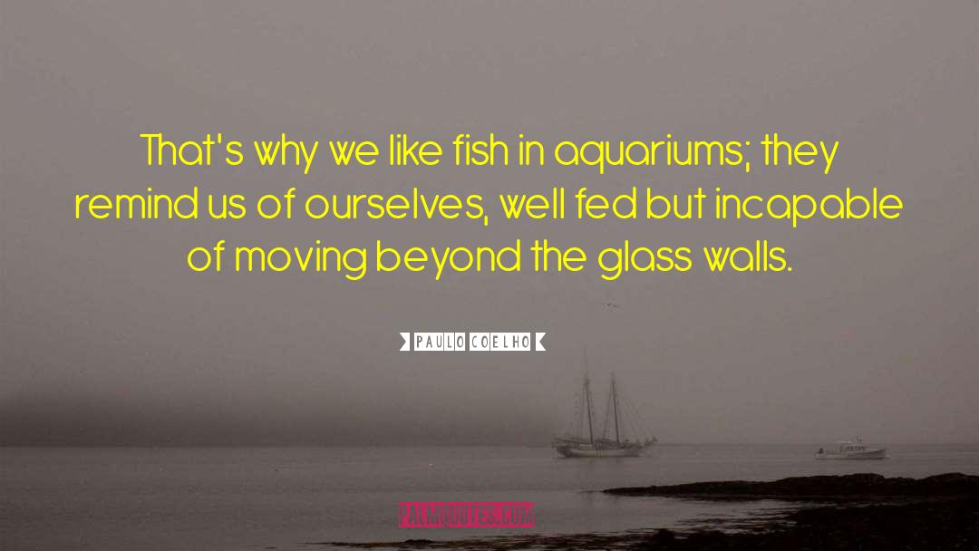 Aquariums quotes by Paulo Coelho