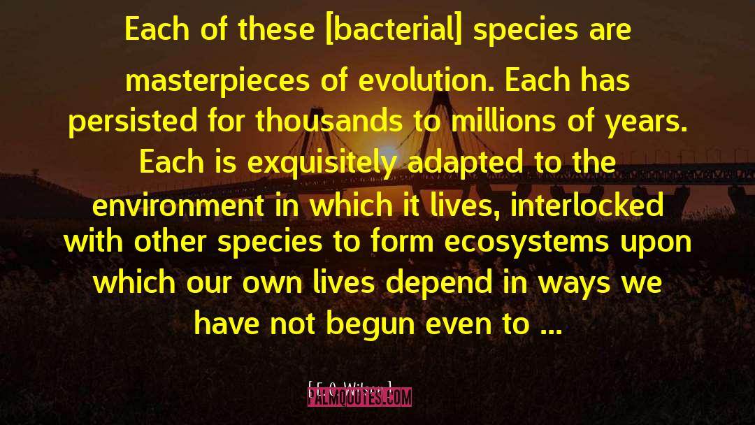 Aquatic Ecosystems quotes by E. O. Wilson