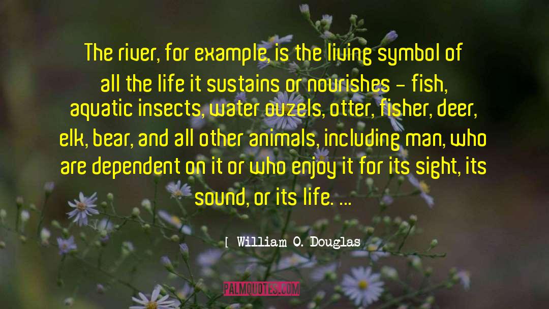 Aquatic quotes by William O. Douglas