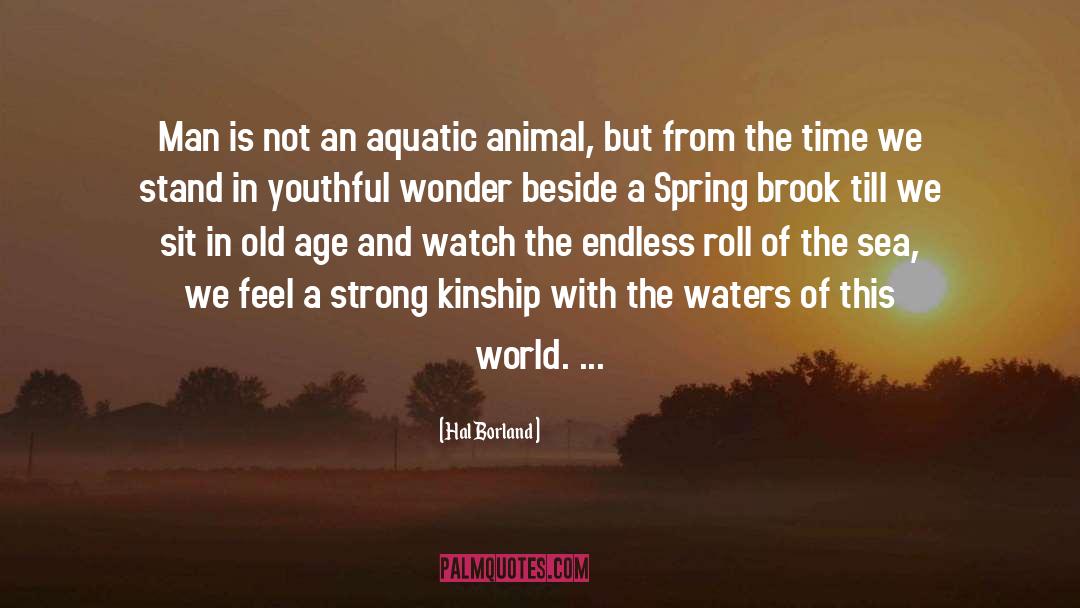 Aquatic quotes by Hal Borland