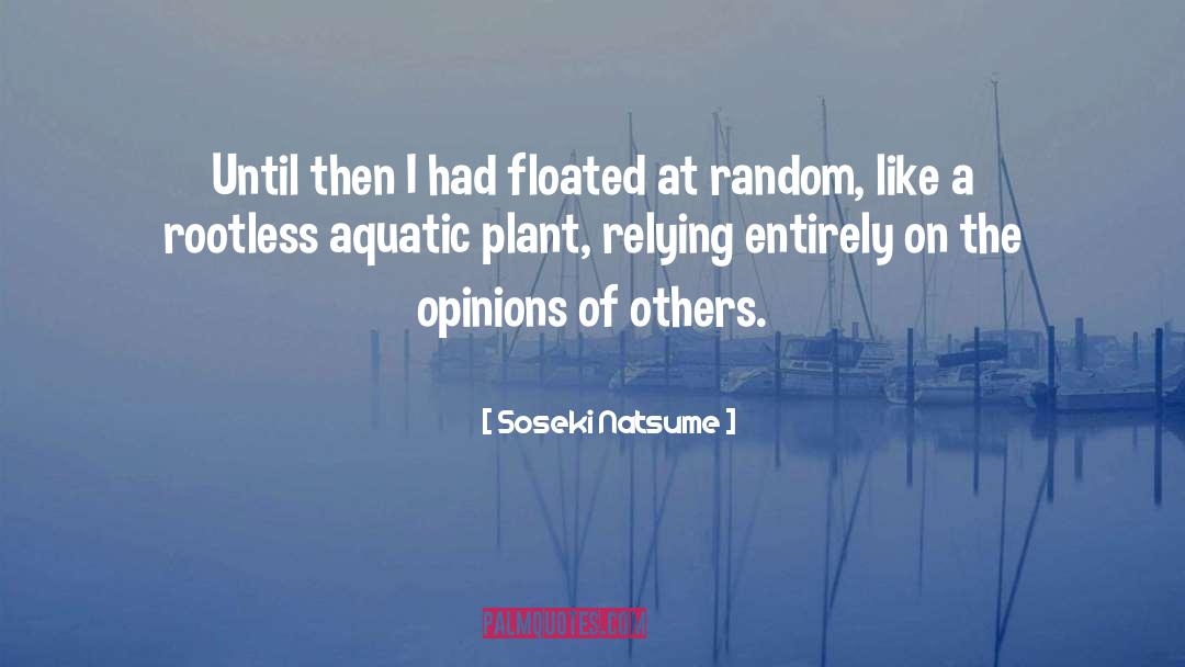 Aquatic quotes by Soseki Natsume