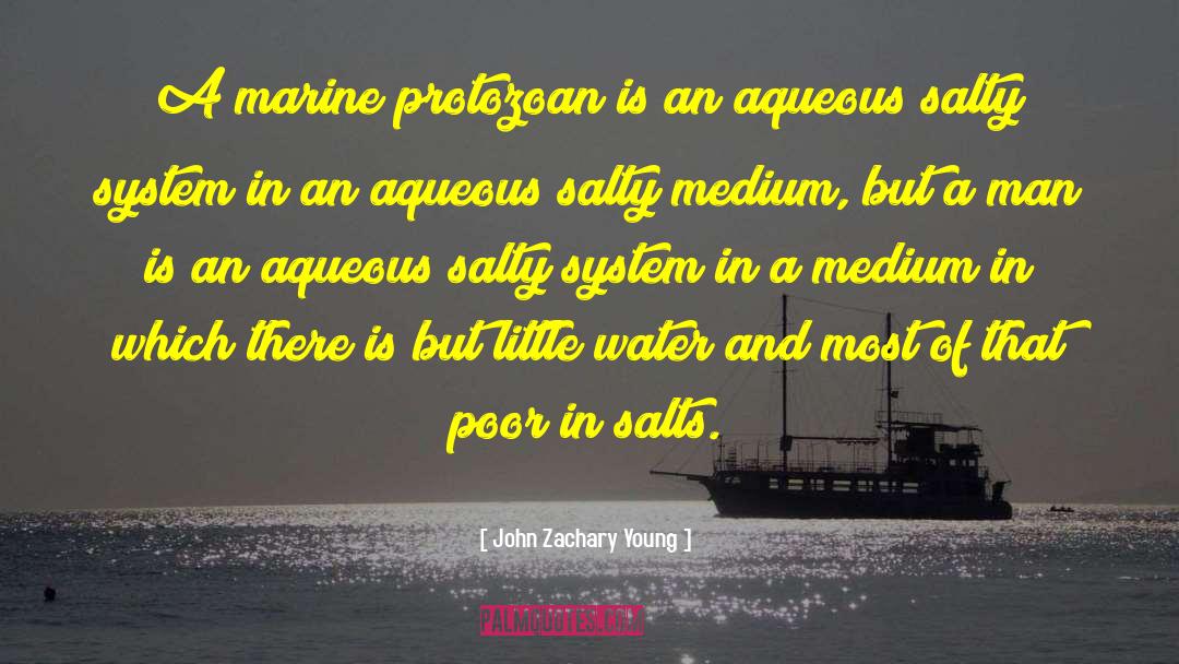 Aqueous Pronunciation quotes by John Zachary Young