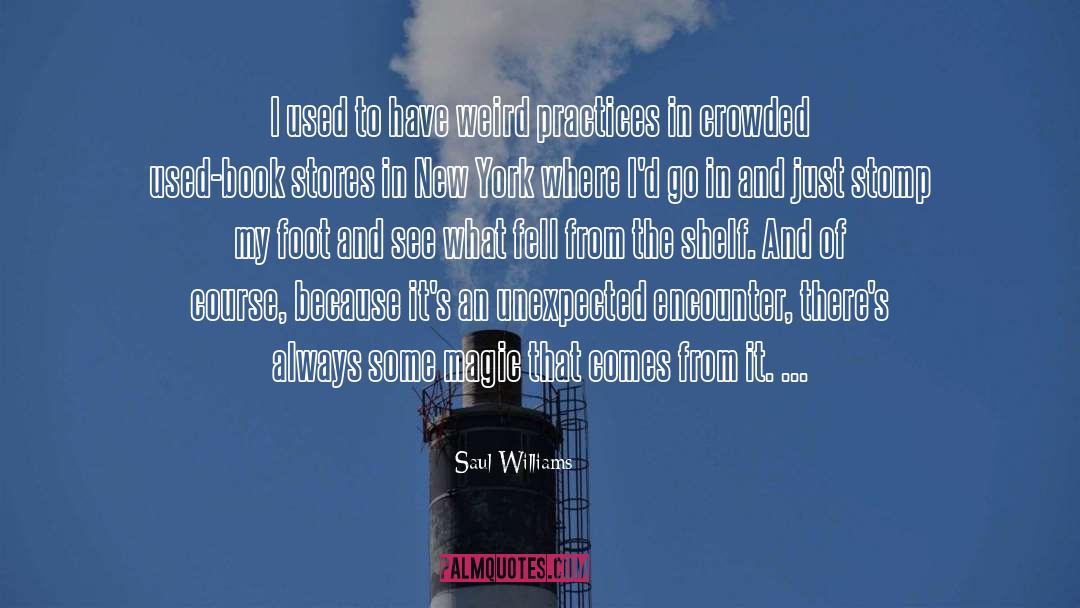 Ara Fell quotes by Saul Williams