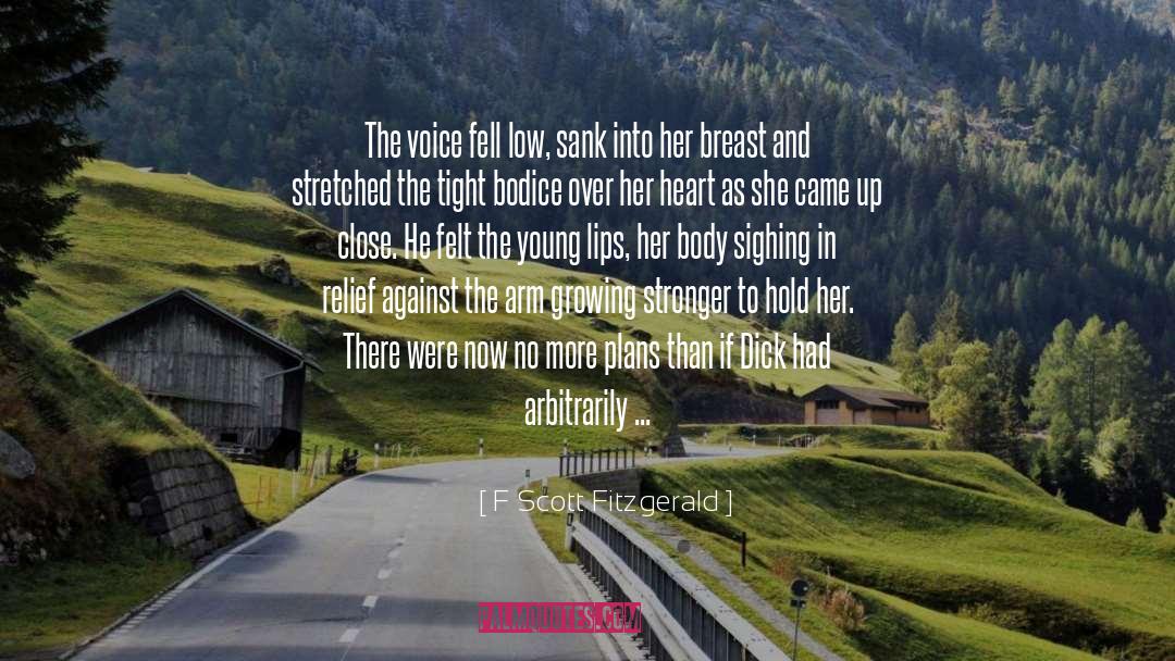 Ara Fell quotes by F Scott Fitzgerald