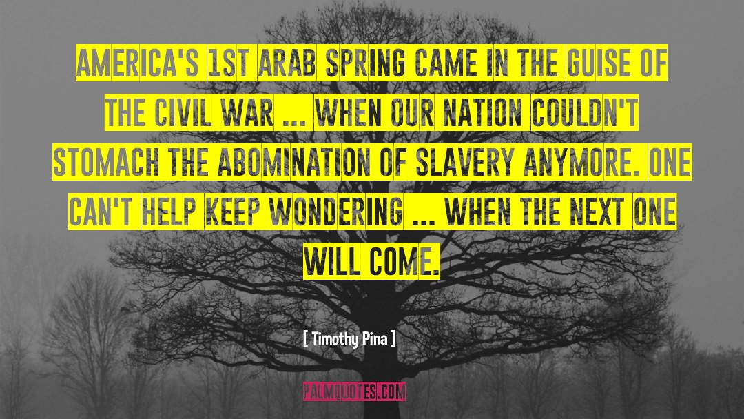 Arab Spring quotes by Timothy Pina