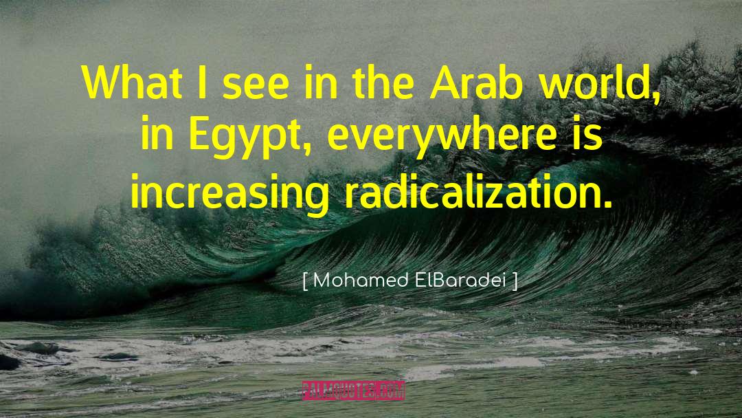 Arab World quotes by Mohamed ElBaradei