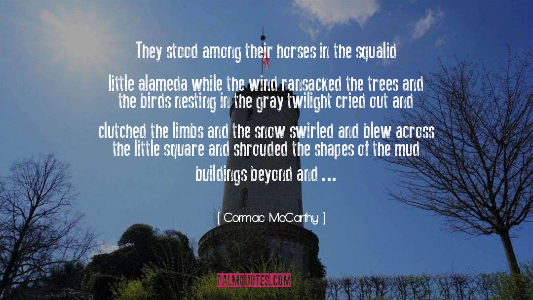 Arabian Horses quotes by Cormac McCarthy