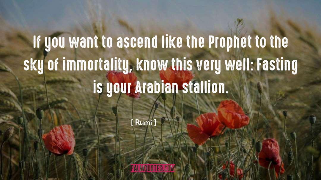 Arabian Knights quotes by Rumi