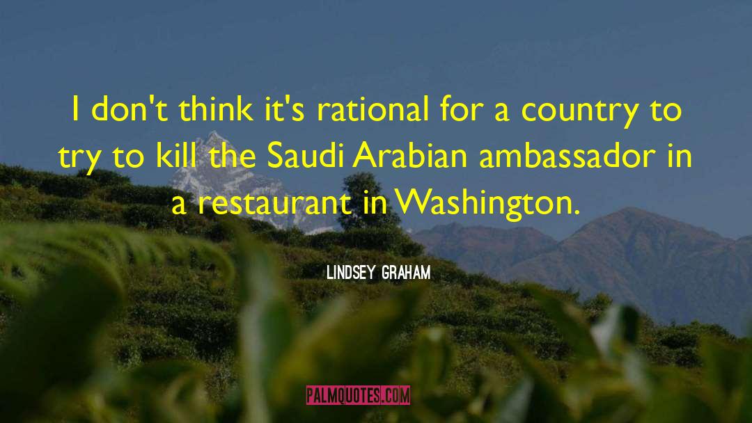 Arabian Knights quotes by Lindsey Graham