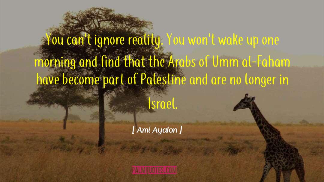 Arabs quotes by Ami Ayalon