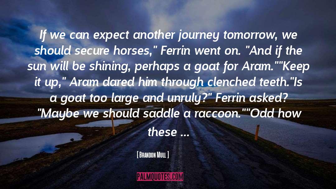 Aram quotes by Brandon Mull